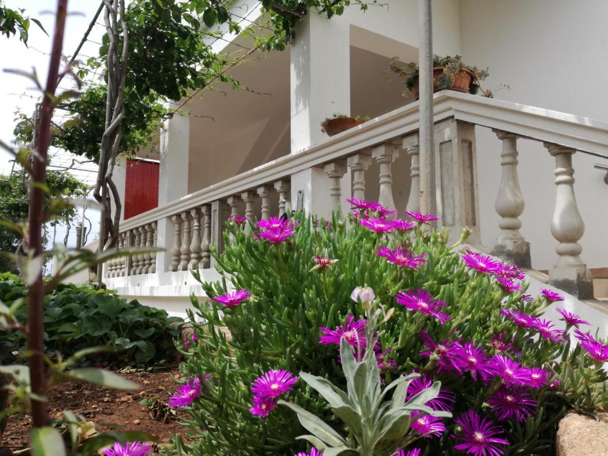 Apartmani Daniela Murter Luaran gambar