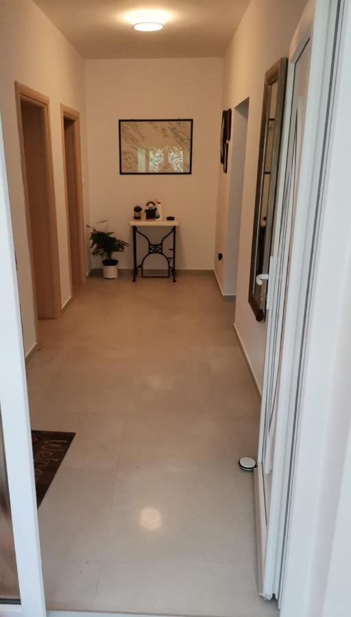 Apartmani Daniela Murter Luaran gambar